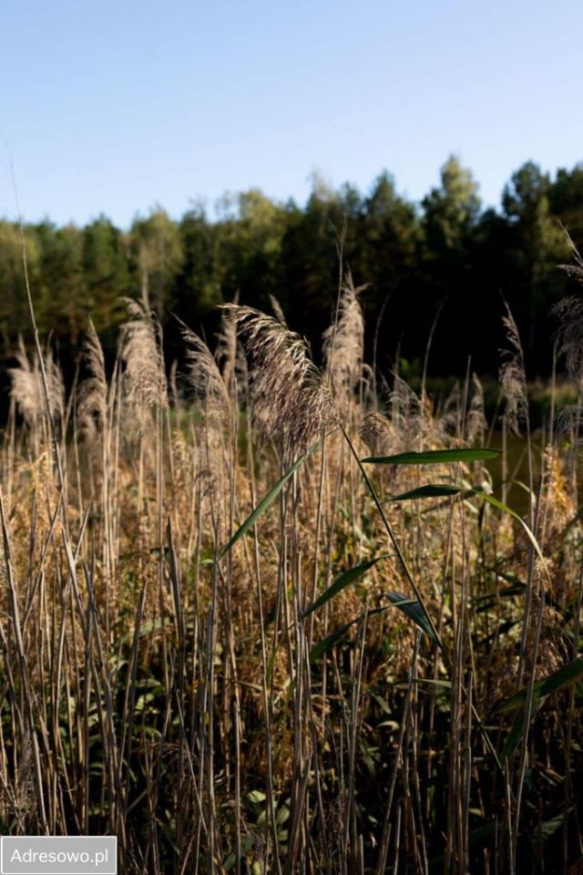 Działka inna Zbiroża
