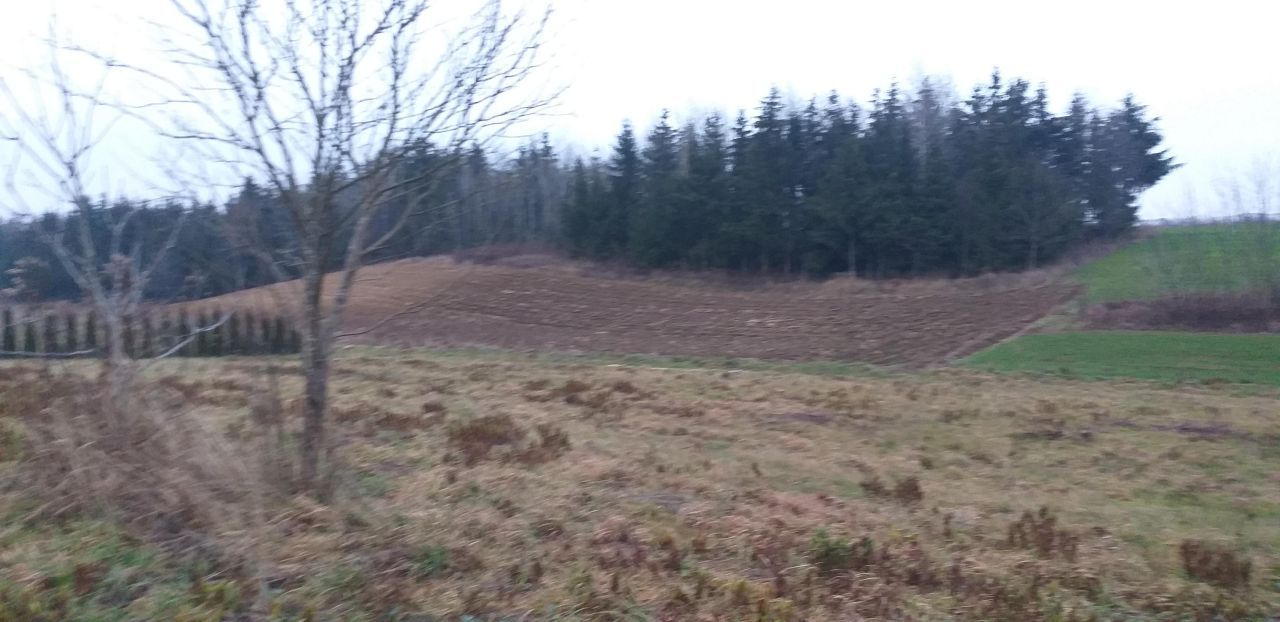 Działka rolno-budowlana Natalin, ul. Magiczna. Zdjęcie 6