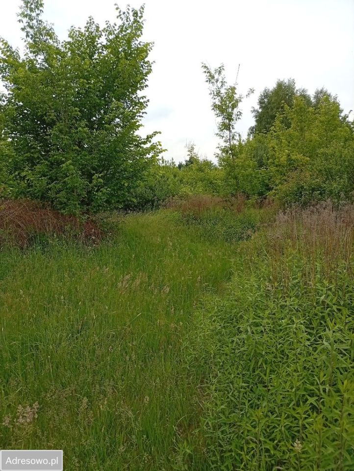 Działka budowlana Nieborów, ul. Michała Piotra Radziwiłła. Zdjęcie 2