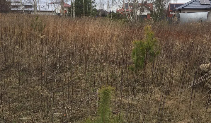 Działka budowlana Lipków, ul. Hetmańska