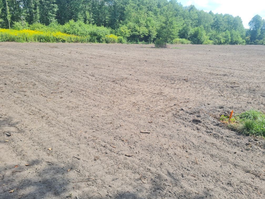 Działka budowlana Białe. Zdjęcie 3