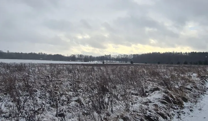 Działka rolna Glinno