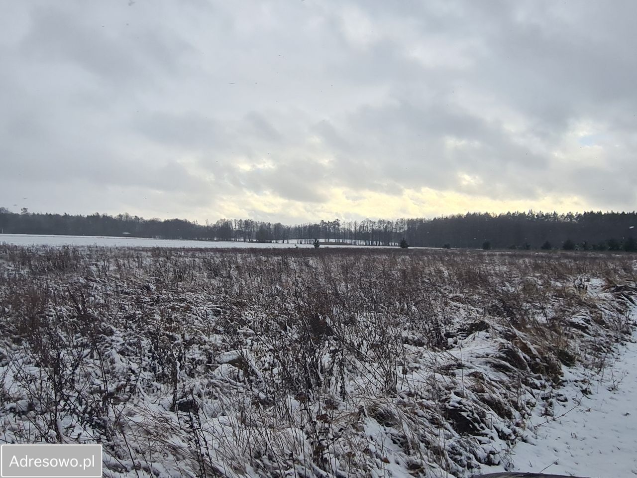 Działka rolna Glinno