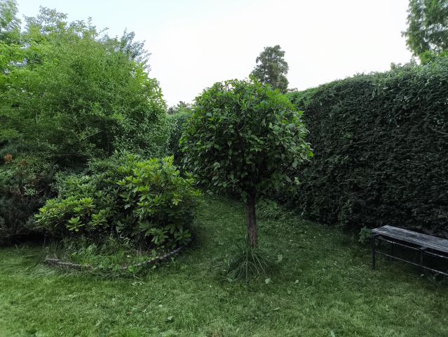 Działka rod Słomin, ul. Wierzbowa. Zdjęcie 1