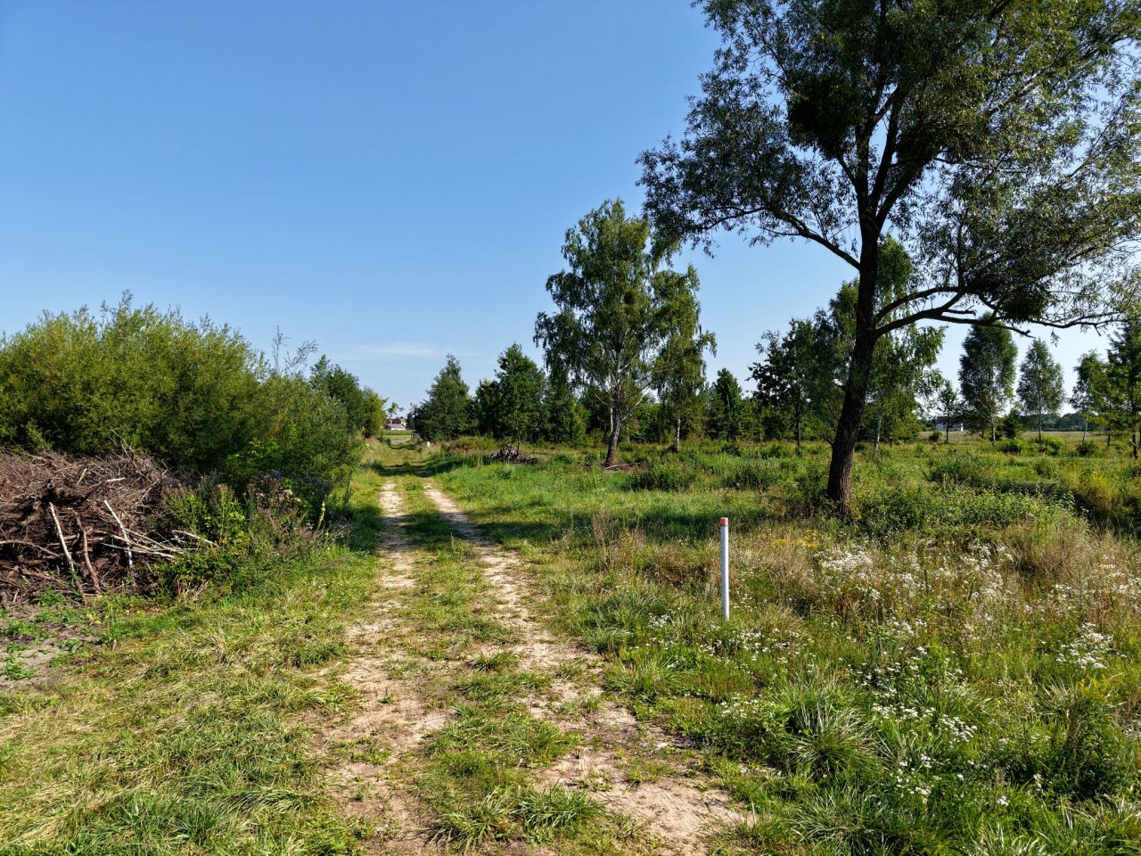 Działka rolno-budowlana Głodowo Wielkie. Zdjęcie 5
