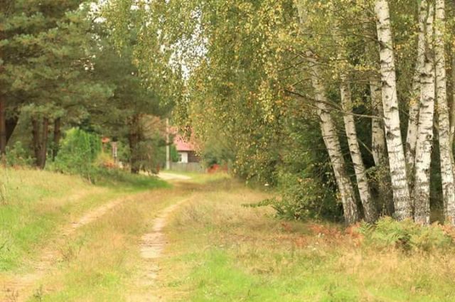 Działka budowlana Doratynka Skaryszewo. Zdjęcie 1