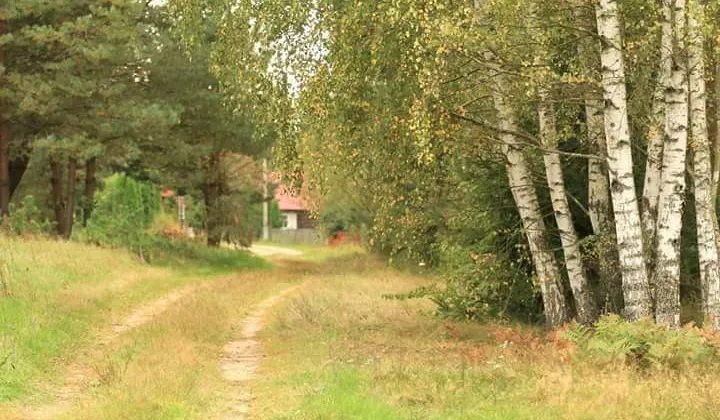 Działka budowlana Doratynka Skaryszewo