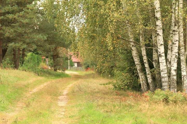 Działka rolno-budowlana Doratynka Skaryszewo