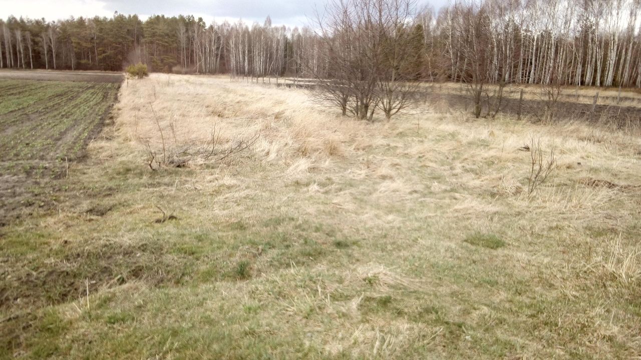 Działka inwestycyjna Czeremcha-Wieś. Zdjęcie 4