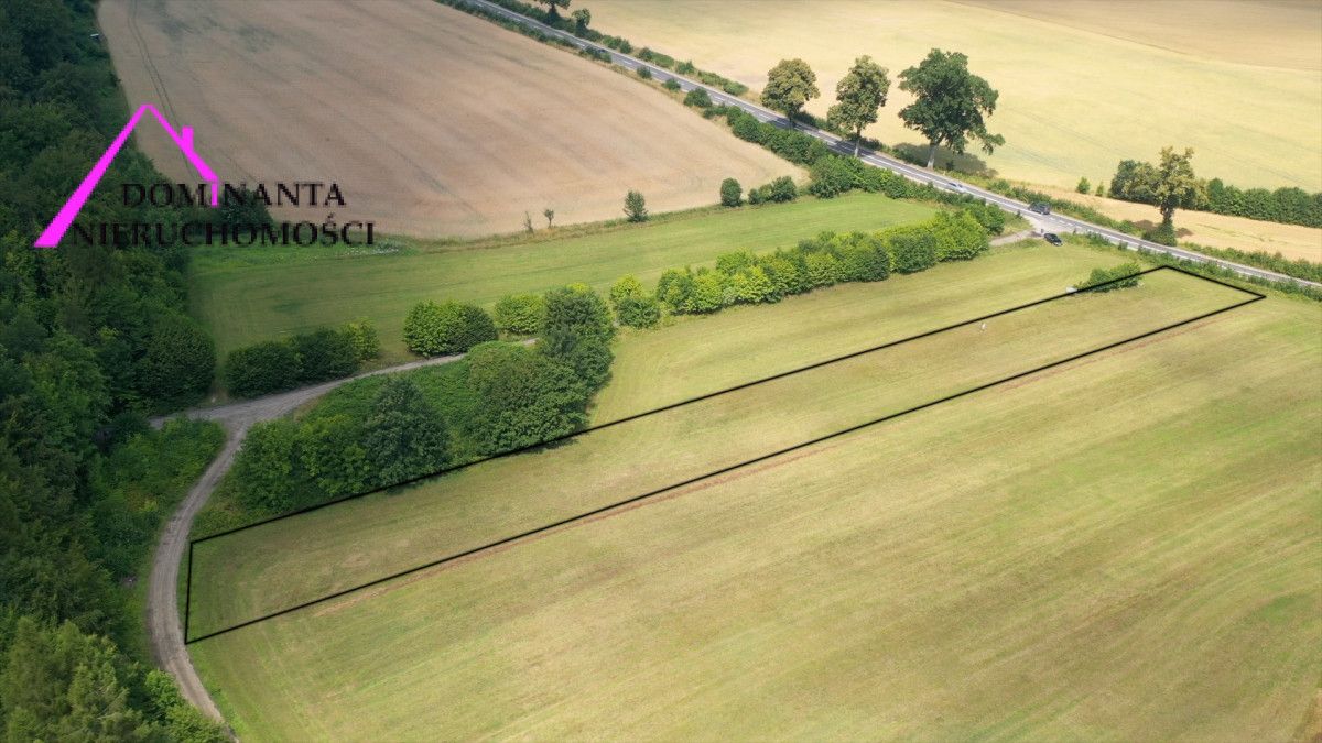 Działka budowlana Zdrada, ul. Leśna. Zdjęcie 7