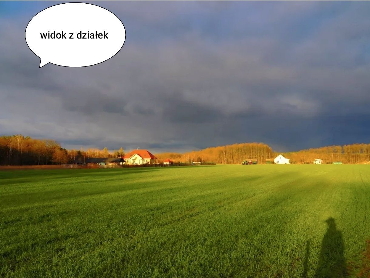 Działka rolno-budowlana Przepitki. Zdjęcie 3