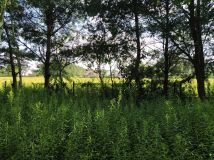 Działka rolna Turowice. Zdjęcie 1