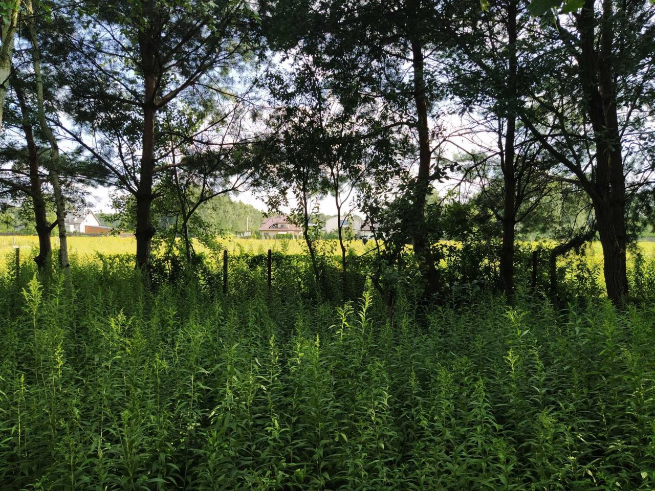 Działka rolna Turowice. Zdjęcie 2