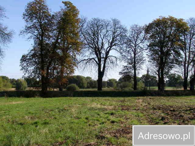 Działka budowlana Myślibórz. Zdjęcie 6
