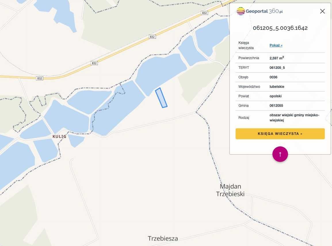 Działka rekreacyjna Trzebiesza. Zdjęcie 5