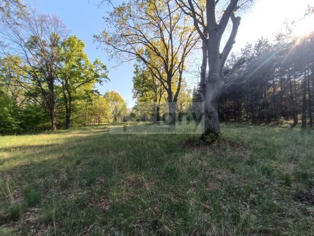 Działka budowlana Jabłonna. Zdjęcie 1