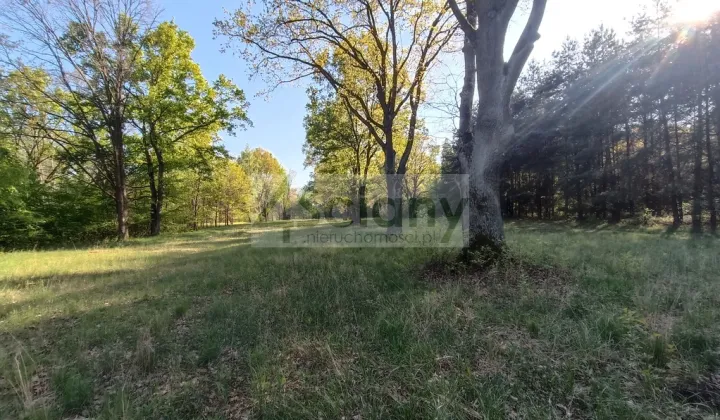 Działka budowlana Jabłonna