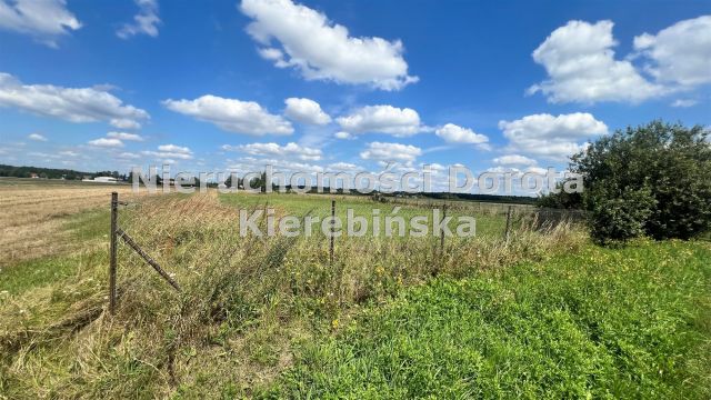Działka budowlana Studzianki. Zdjęcie 6