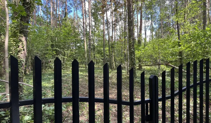 Działka rekreacyjna Rosanów Rosanów Podleśny, ul. Lipowa