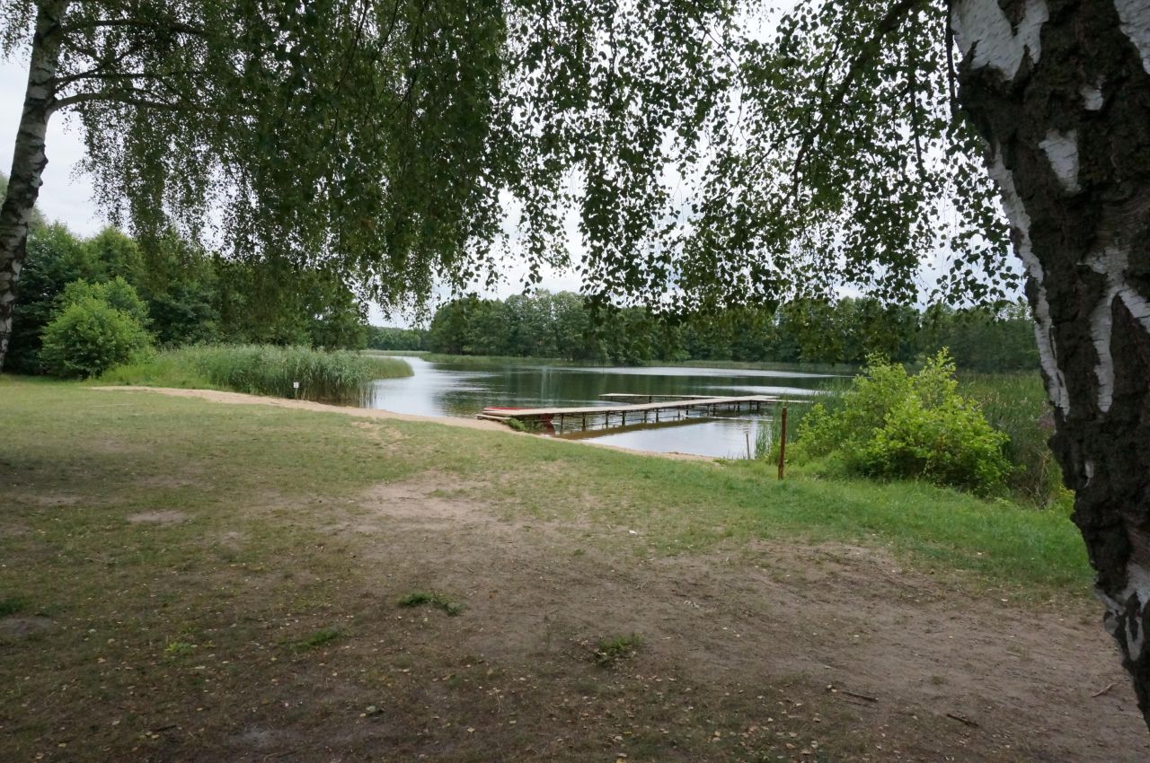 Działka rolno-budowlana Łowyń, Leśna. Zdjęcie 11