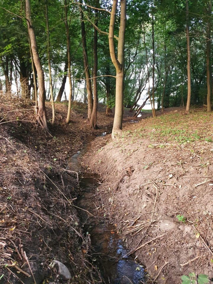 Działka budowlana Broniewice. Zdjęcie 4