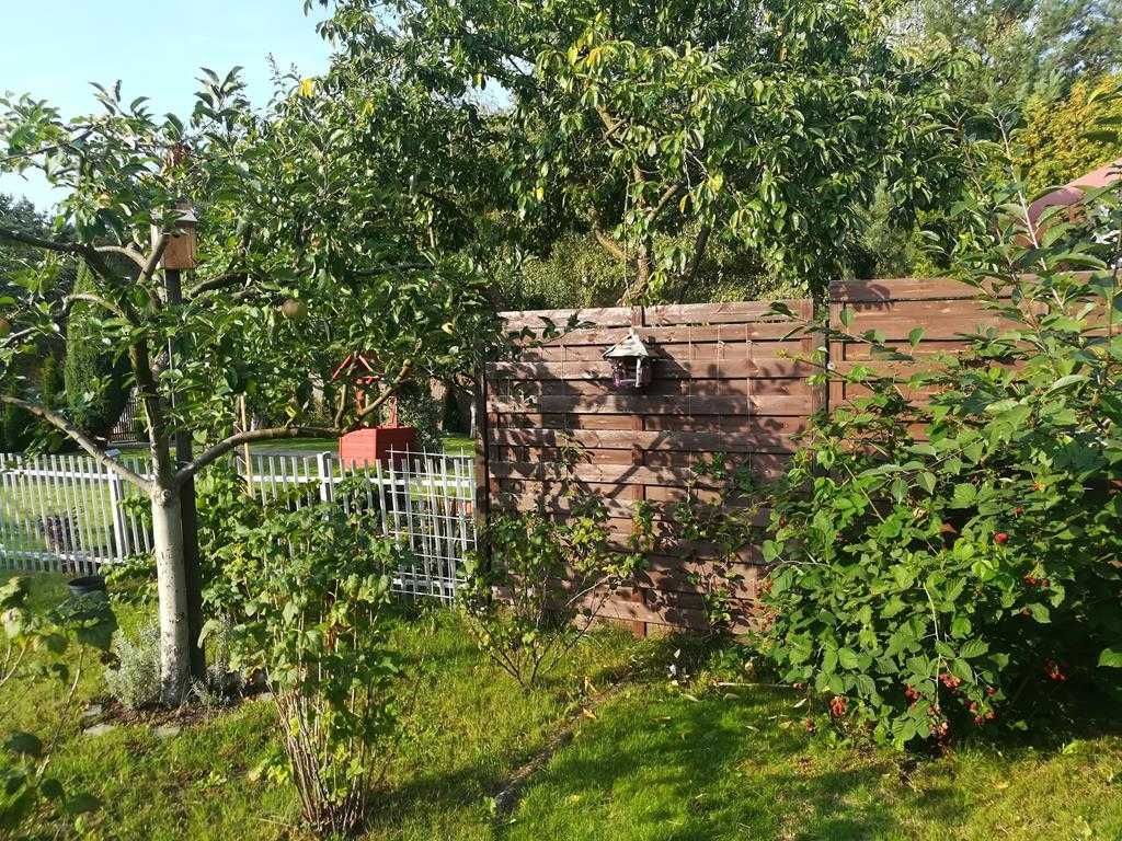 Działka rod Wronki. Zdjęcie 6