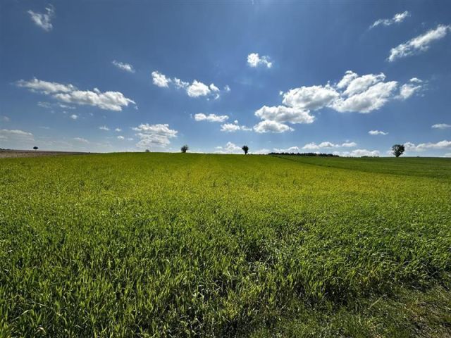 Działka rolna Rożnowo Nowogardzkie. Zdjęcie 1