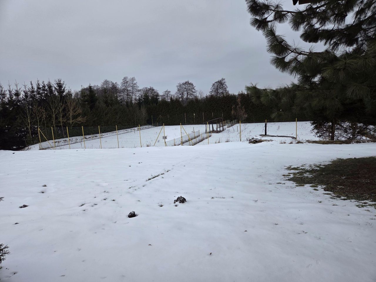 dom wolnostojący, 7 pokoi Strączno. Zdjęcie 88