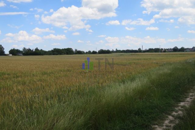 Działka inwestycyjna Dobrzyń. Zdjęcie 1