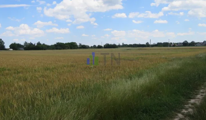 Działka inwestycyjna Dobrzyń