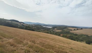 Działka rolna Lipie