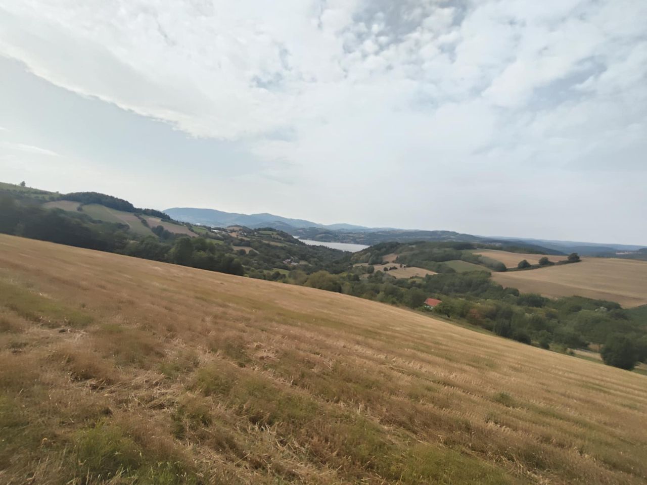 Działka rolna Lipie. Zdjęcie 2