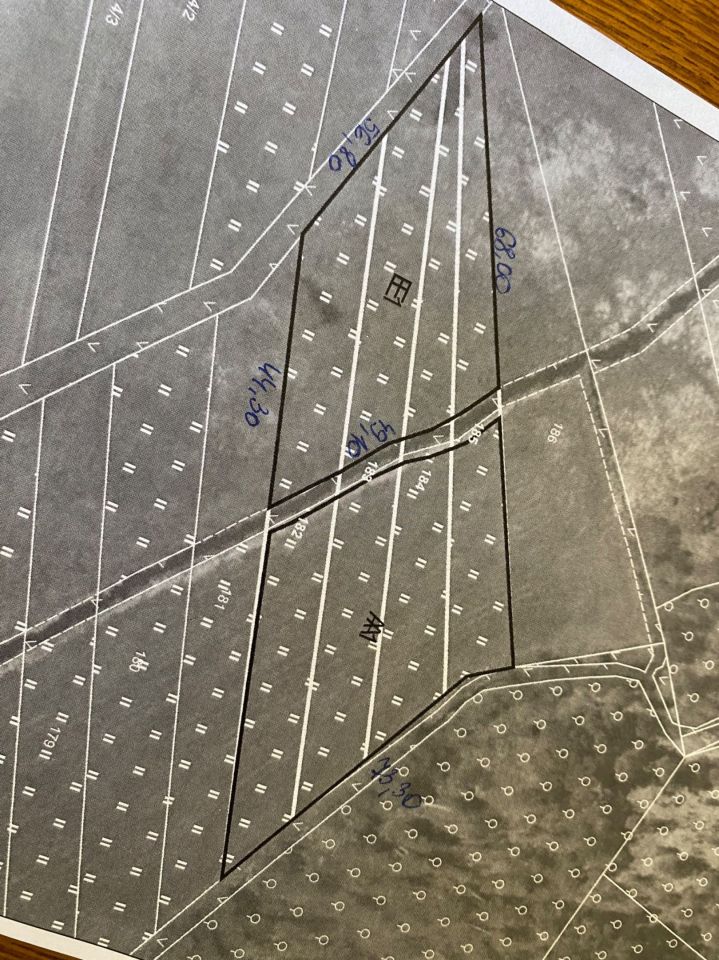 Działka rolna Kuźnica Ługowska