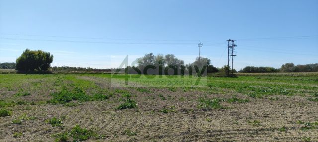 dom wolnostojący, 4 pokoje Bieniewo-Parcela. Zdjęcie 3