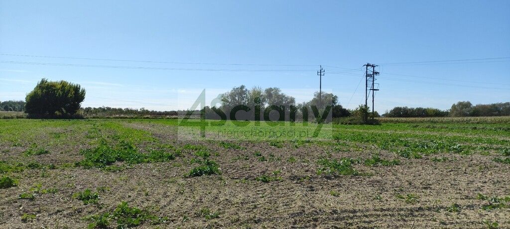 dom wolnostojący, 4 pokoje Bieniewo-Parcela. Zdjęcie 3