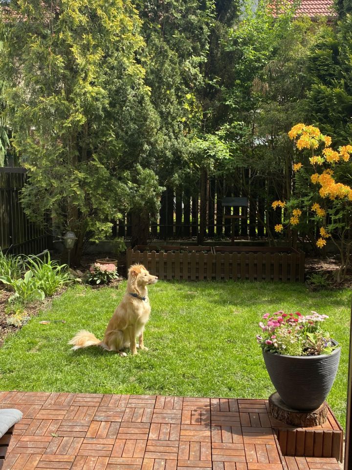 Mieszkanie 3-pokojowe Kraków Zwierzyniec, ul. Za Skłonem. Zdjęcie 7