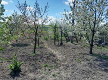 dom wolnostojący, 4 pokoje Grabowiec-Góra. Zdjęcie 3