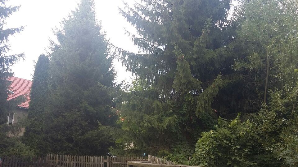 inny, 5 pokoi Sady Górne, Sady Górne. Zdjęcie 13