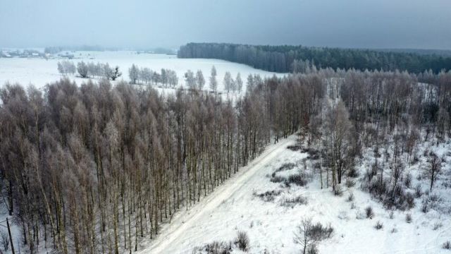 Działka budowlana Harsz. Zdjęcie 12