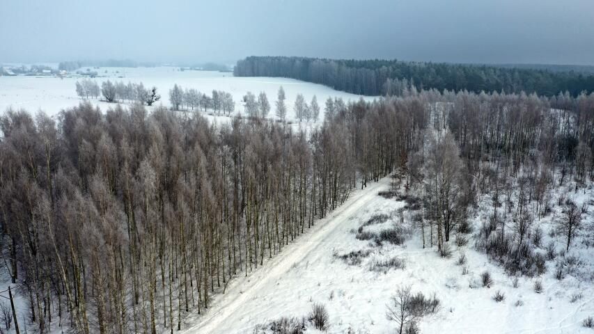 Działka budowlana Harsz. Zdjęcie 12