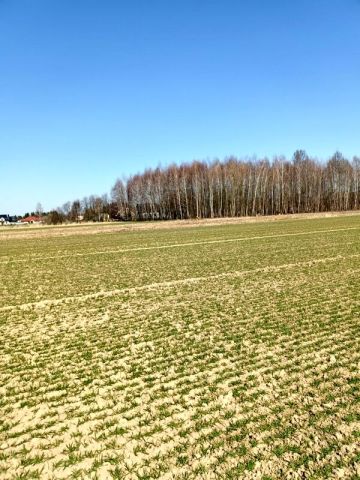 Działka budowlana Świerzowa Polska. Zdjęcie 7