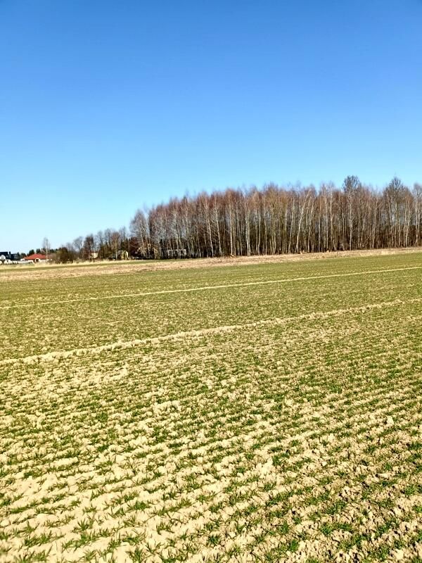 Działka budowlana Świerzowa Polska. Zdjęcie 7