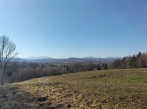 Działka leśna Brzezowa. Zdjęcie 2