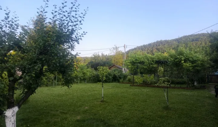 Działka rod Bielsko-Biała Dębowiec, ul. Borówkowa