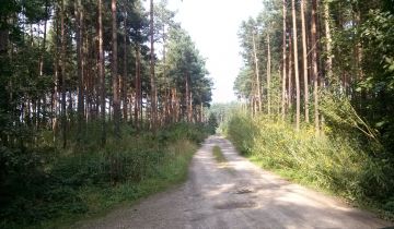 Działka budowlana Ostrowy nad Okszą Zadworze, ul. Zadworna