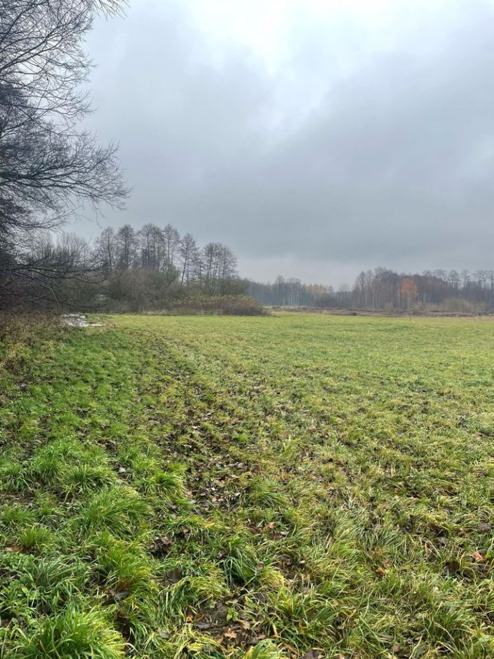 Działka budowlana Grodzisko. Zdjęcie 6