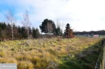 Działka budowlana Motycz