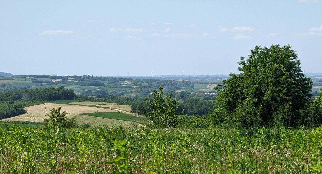 Działka budowlana Pruchnik Pruchnik Górny, ul. Bieszczadzka. Zdjęcie 4