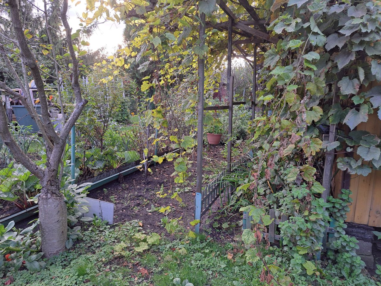 Działka rod Toruń Wrzosy, ul. Słowicza. Zdjęcie 17