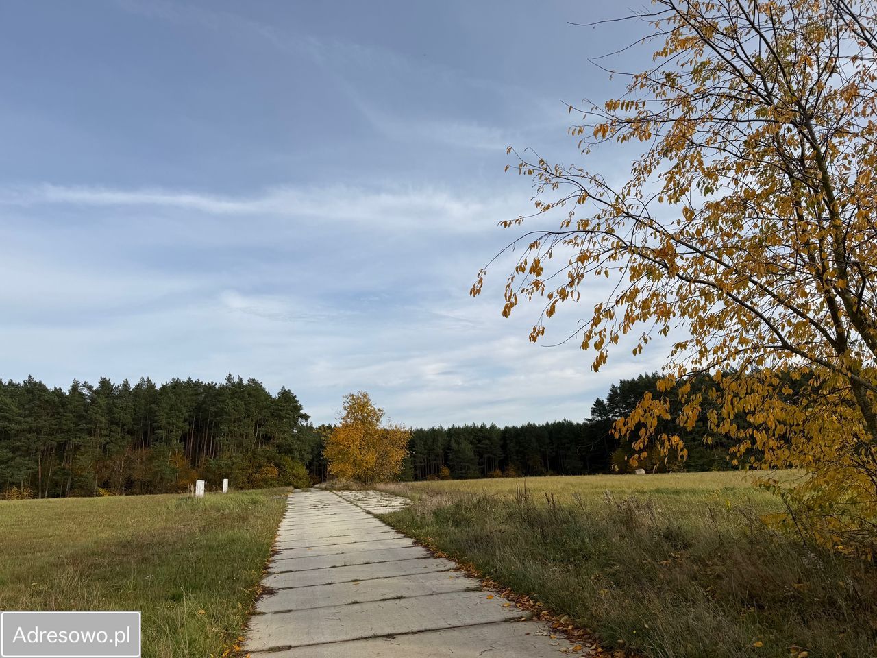 Działka budowlana Racimierz. Zdjęcie 3